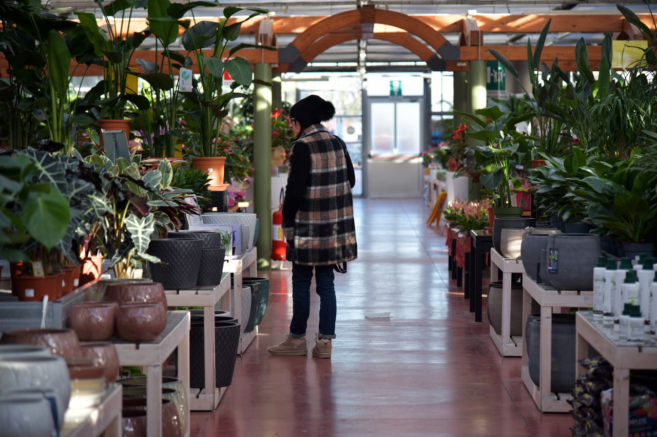 Matériel professionnel de floristerie